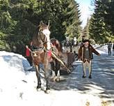 Sleigh rides in Chocholowska