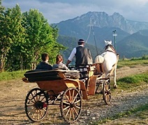 horse-drawn carriage in Zakopane